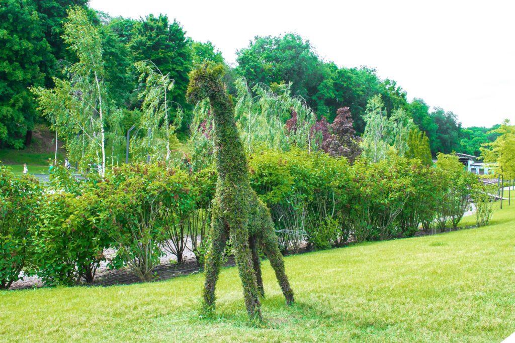 Beautiful green botanical landscape design in garden, city park with trees, animal shapes bushes